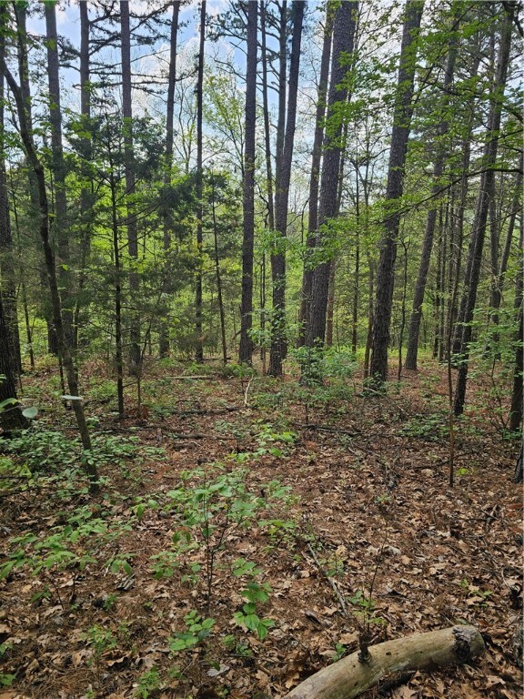 Property Photo: Tbd Belvoir Lane AR 72715