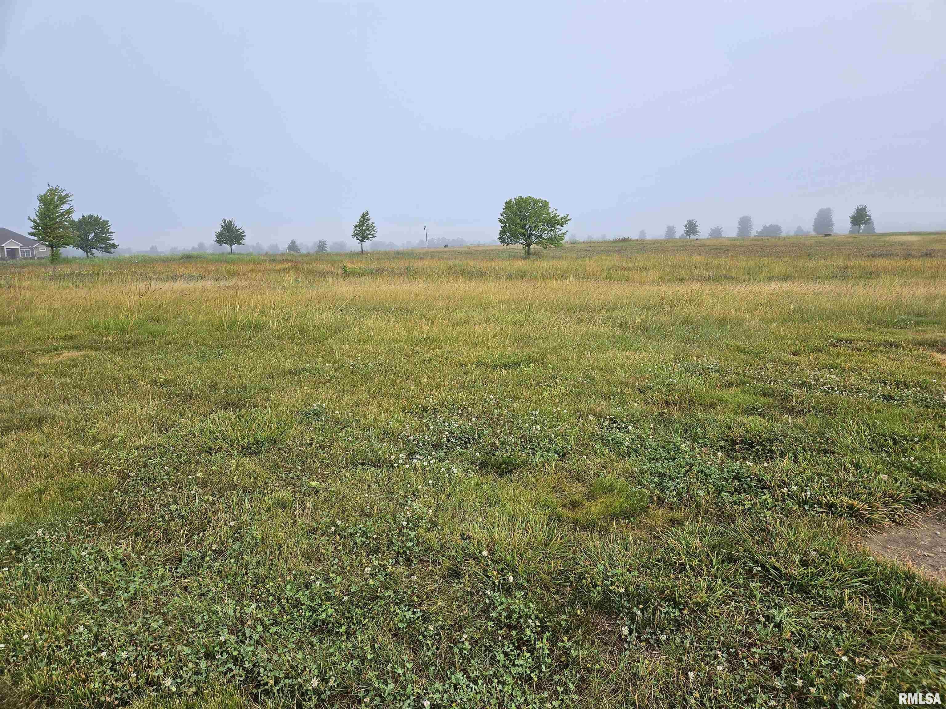 1010 Ring Drive  Metamora IL 61548 photo