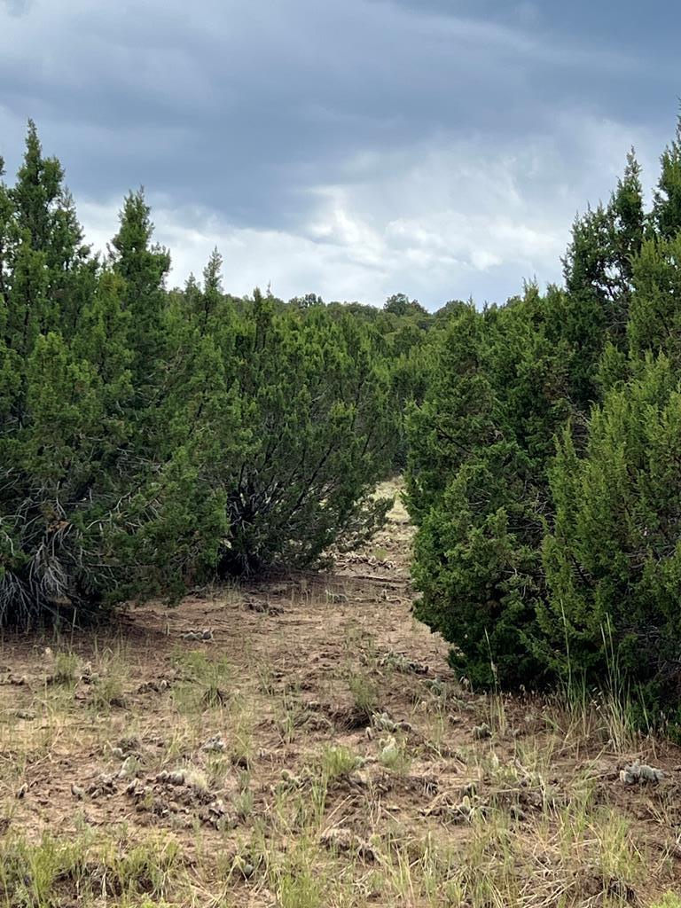 Property Photo: 0 Sunrise Dr CO 81089