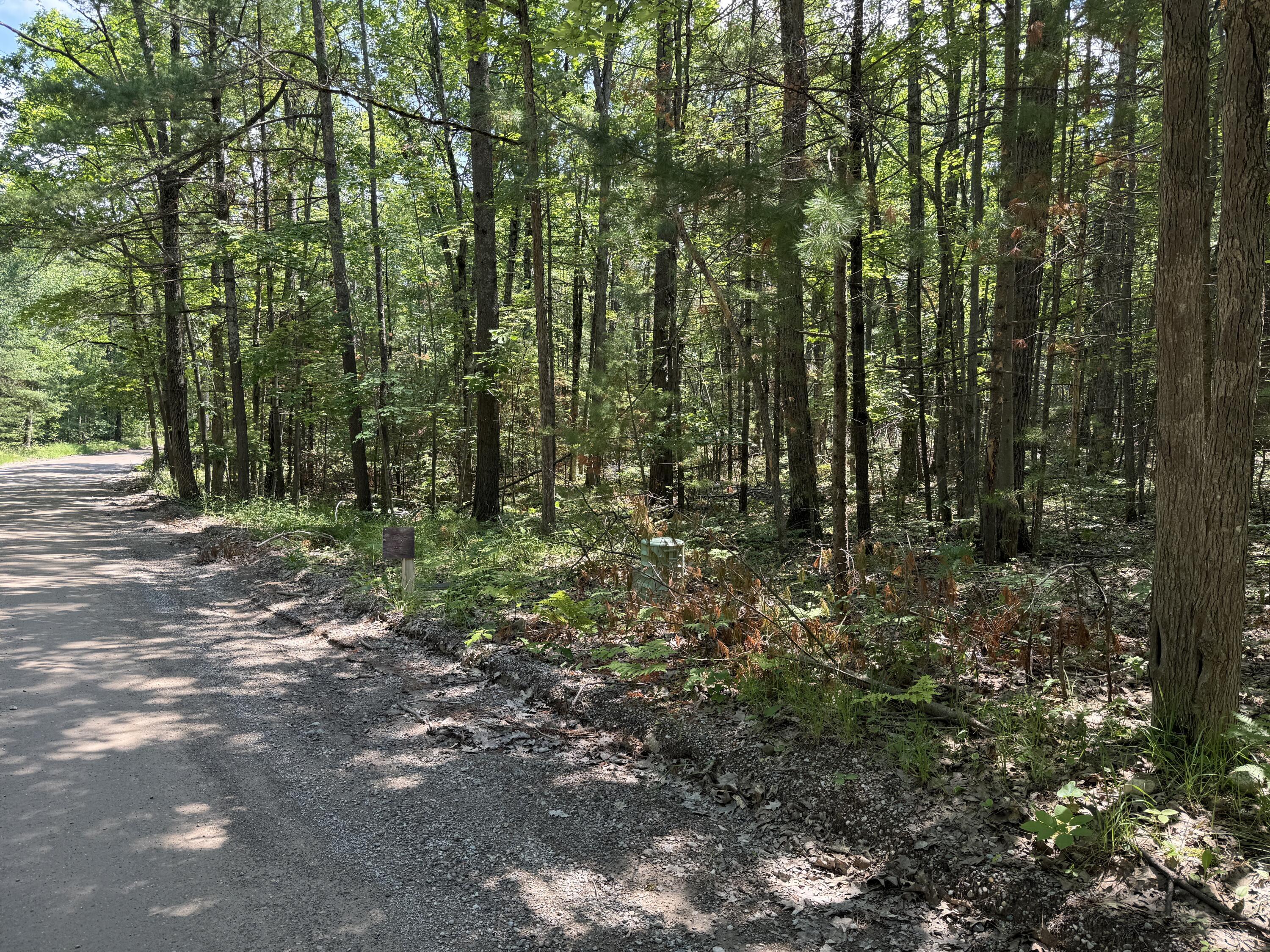 Property Photo: 6287 Waubun Road MI 49749