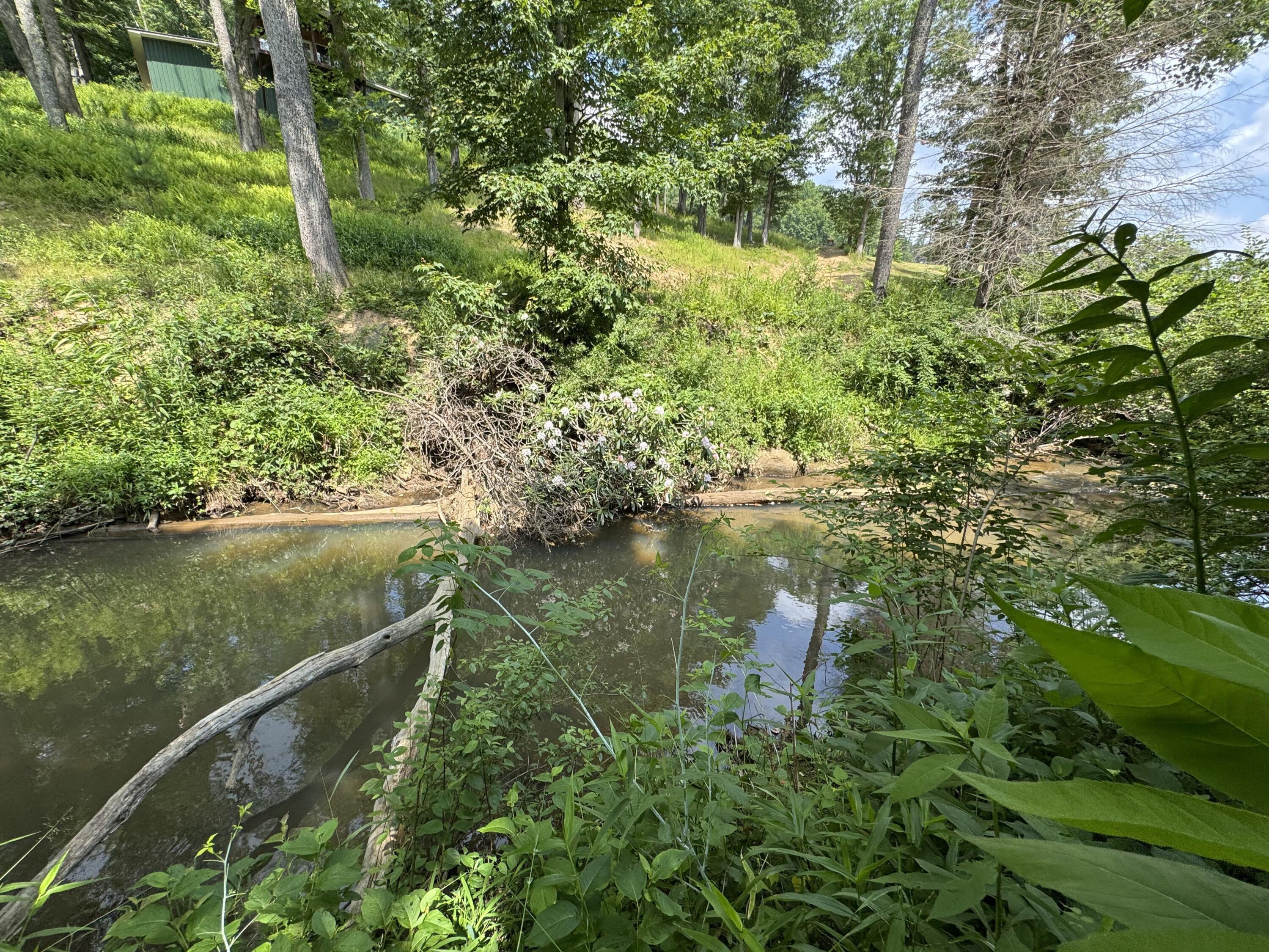 5298 Leivasy Rd  Leivasy WV 26676 photo