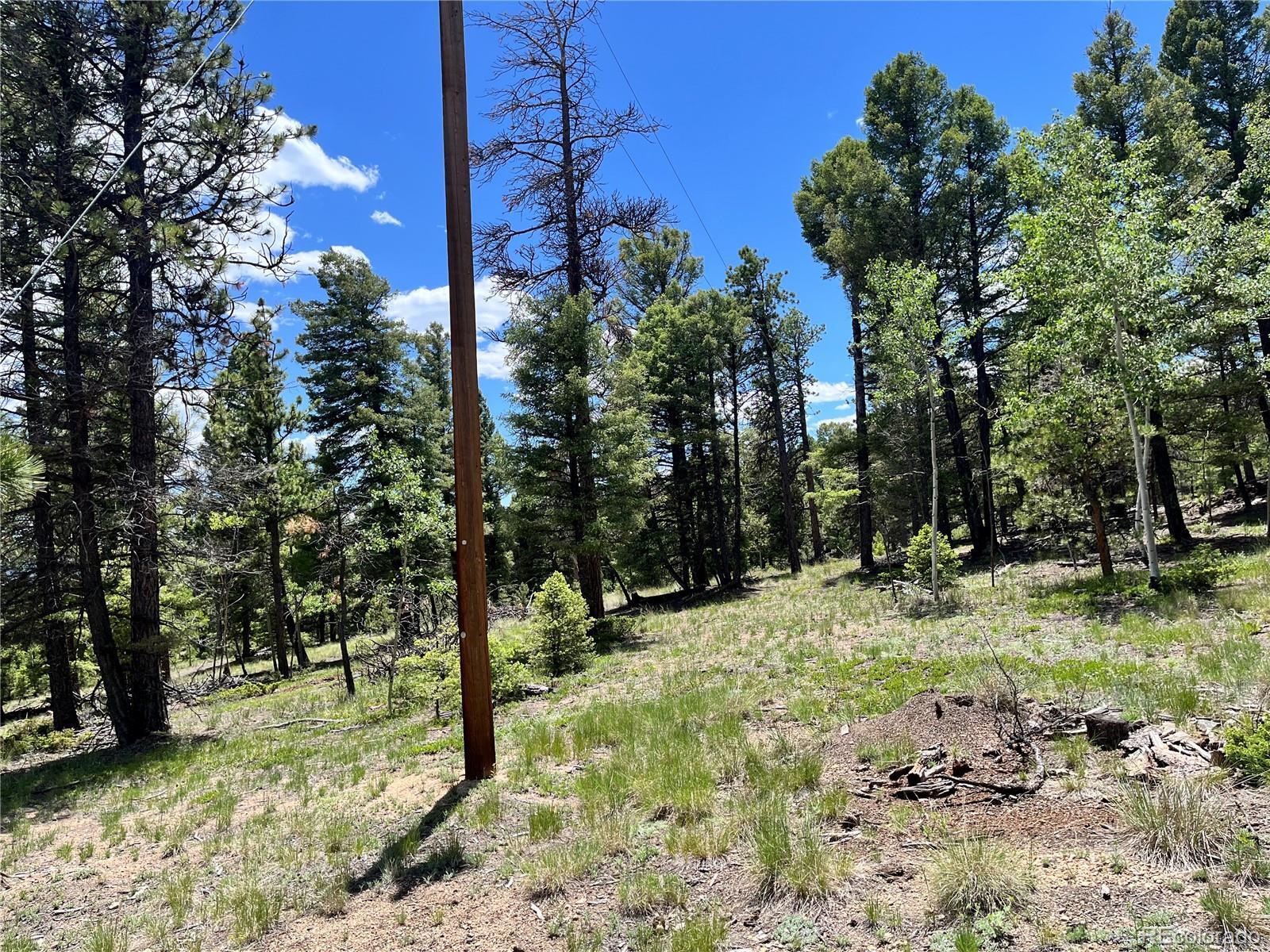 Property Photo: 1002 Indian Creek Road CO 80816