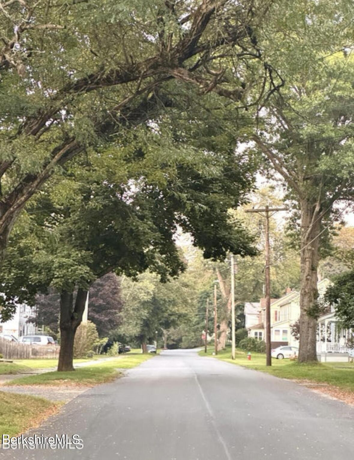 Property Photo:  0 Crane Ave  MA 01226 