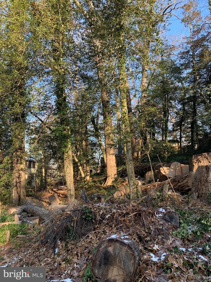 Property Photo:  366 Walnut Trail  MD 21032 