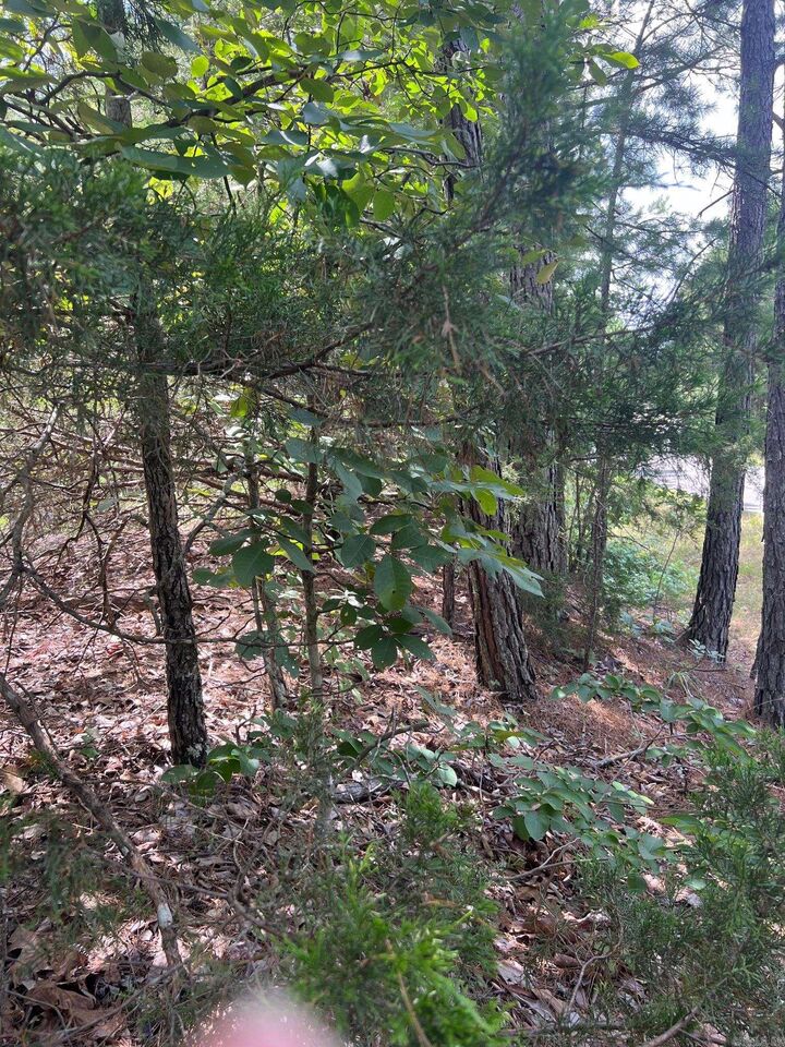Property Photo:  000 Burnt Ridge  AR 72153 