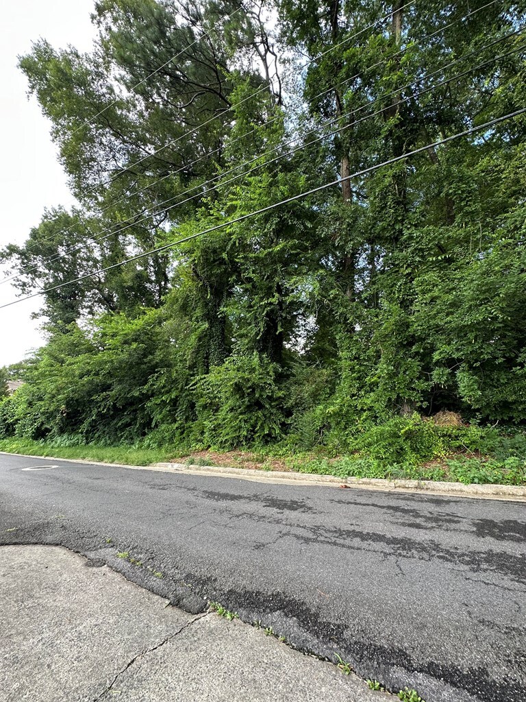 Property Photo: 0 Hawthorne Street GA 30720