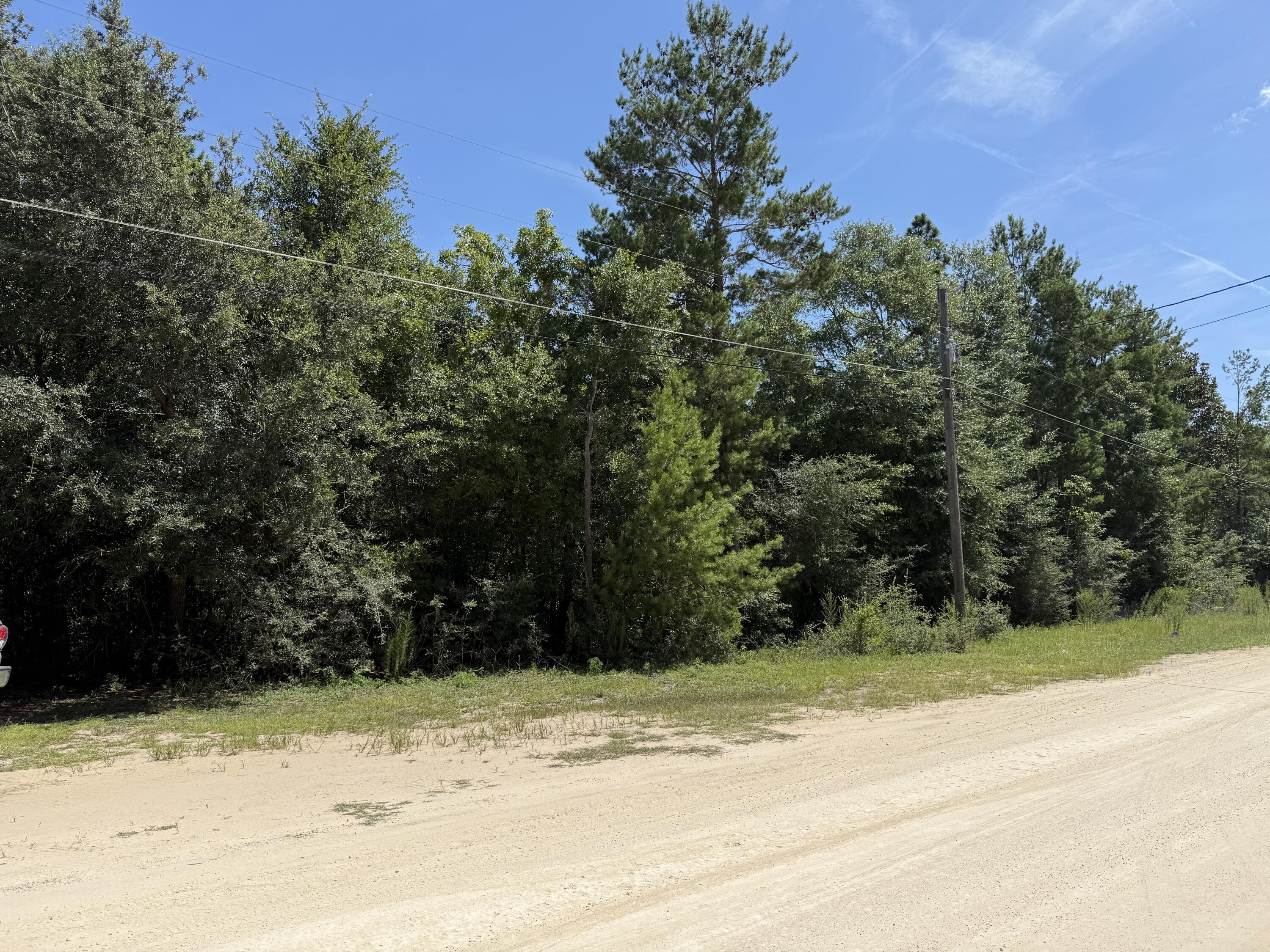 Property Photo:  Lot 6 Country Boulevard  FL 32433 