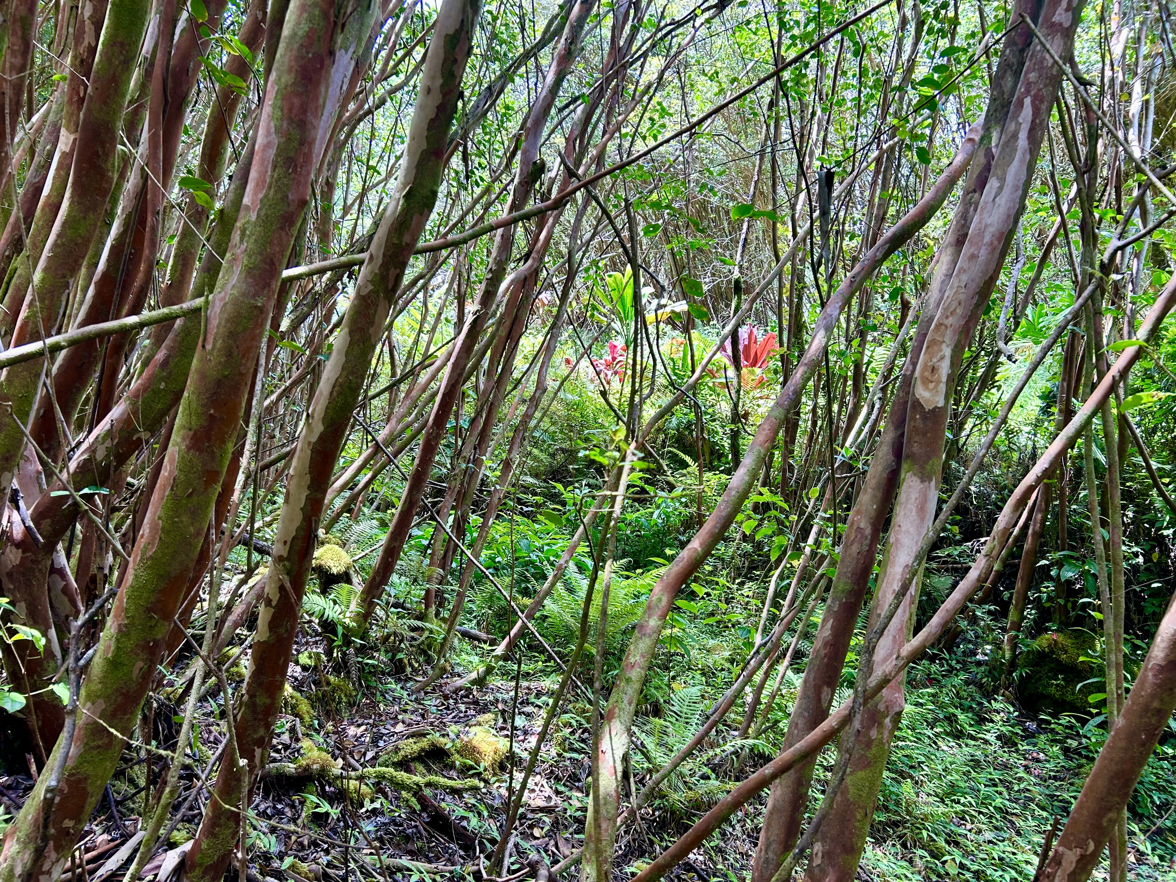Property Photo: Molokai St HI 96778