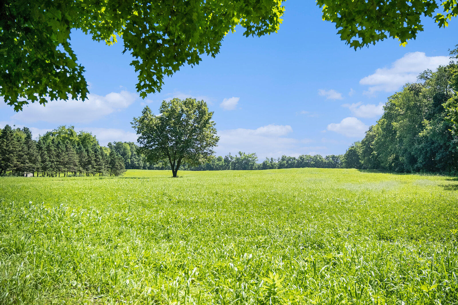 Property Photo: Vl Waite Road MI 49234