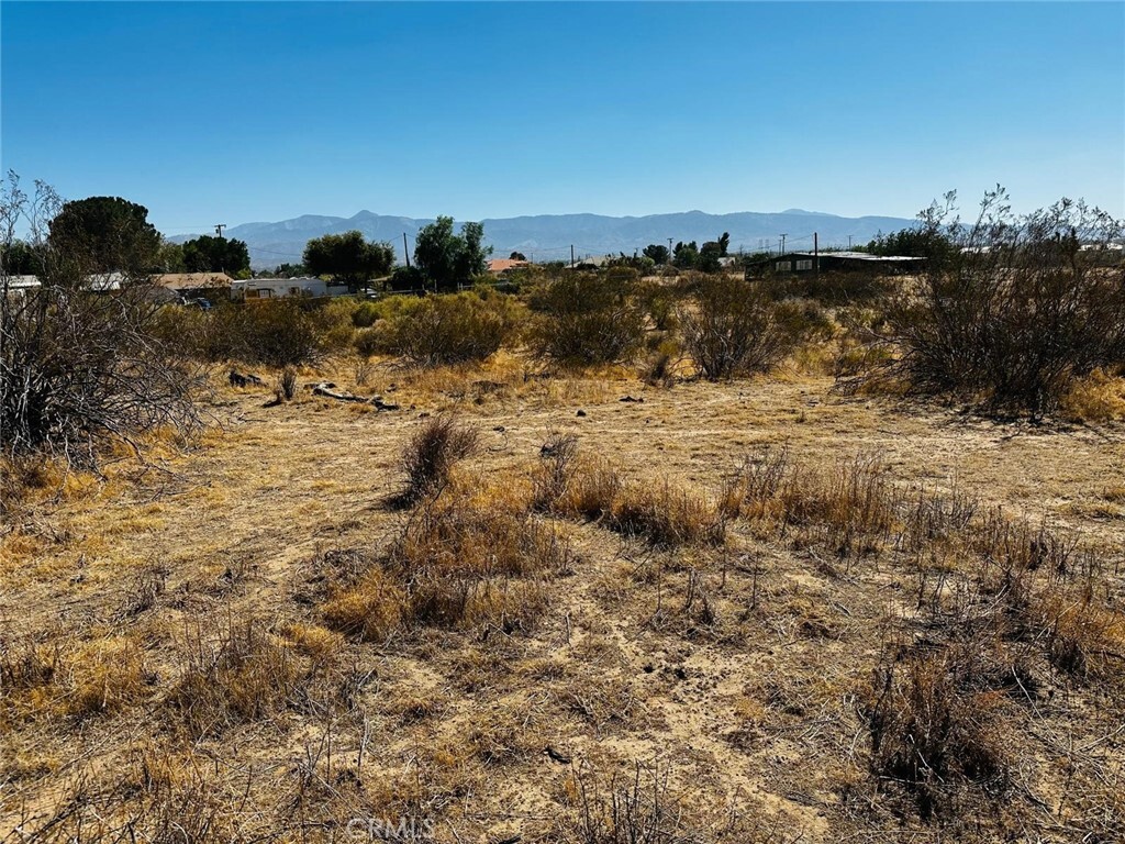 Property Photo: 0 Acanthus CA 92371