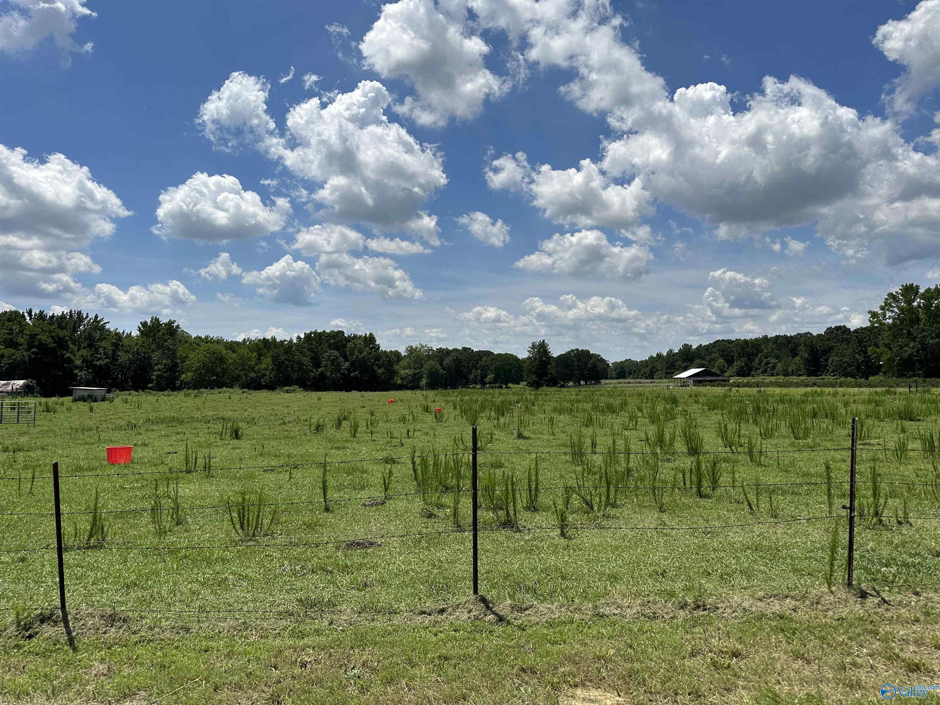 9.1 Ham Road  Athens AL 35611 photo