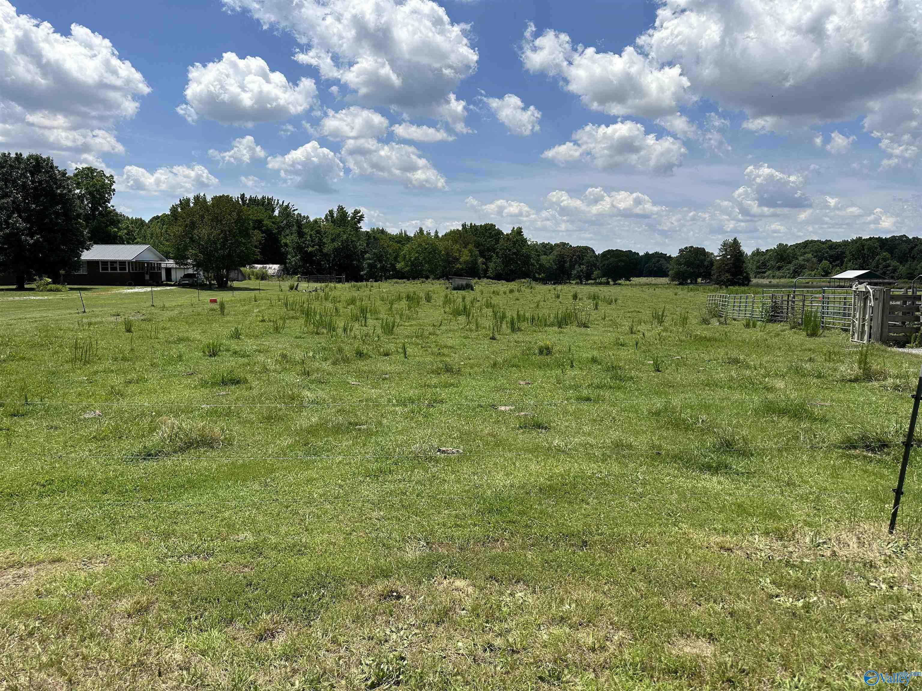 Property Photo: 20 Ham Road AL 35611