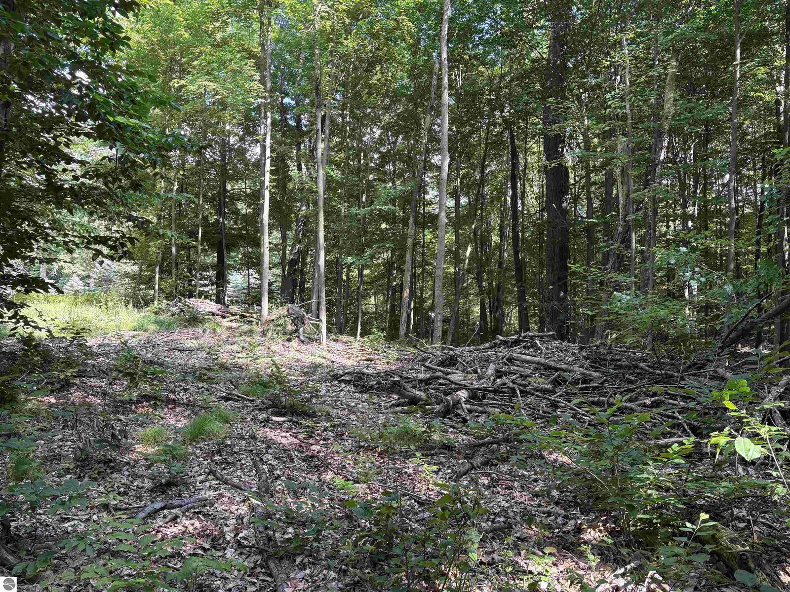Property Photo:  116 Knoll One Drive  MI 49655-9414 