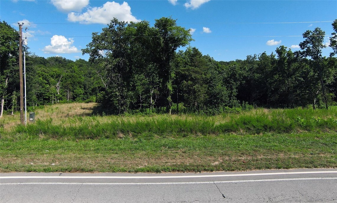 16 Gordon Hollow Drive  Bella Vista AR 72715 photo