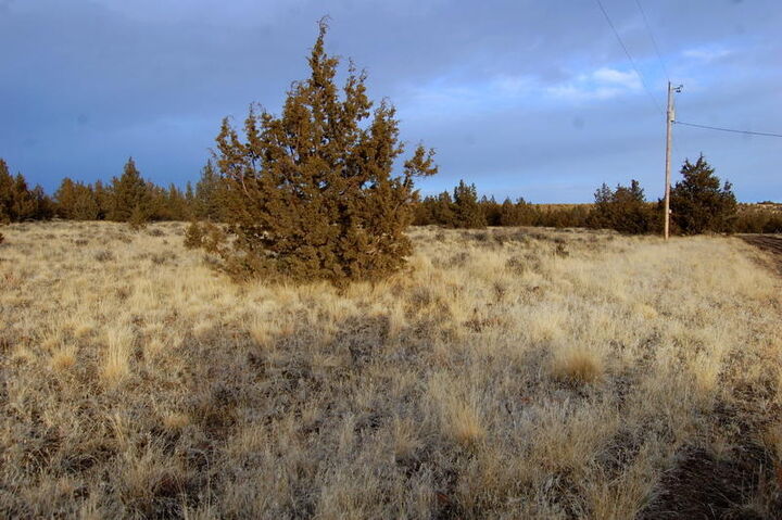 Property Photo:  Tl 1700 Iowa Avenue  OR 97754 