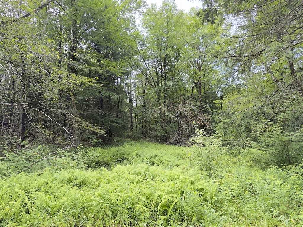 Property Photo:  0 John Ford Road  MA 01330 