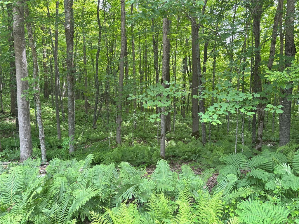 Property Photo:  0 29 1/2 Avenue Street  WI 54817 