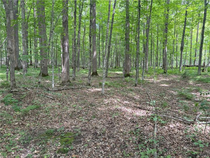 0 28 7/16-28 9/16 Street  Birchwood WI 54817 photo