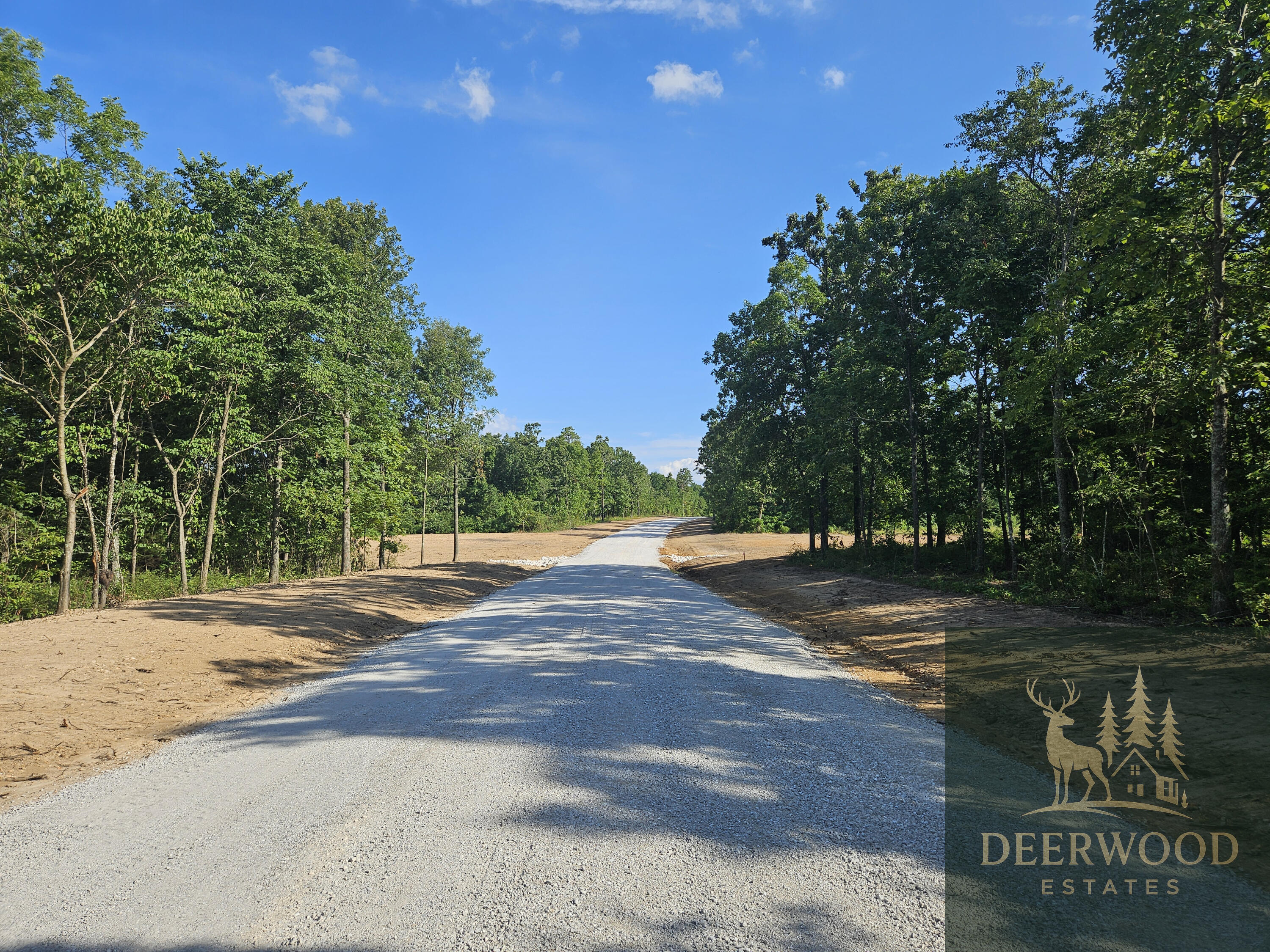 Lot 2 Deerwood Estates  Aurora MO 65605 photo