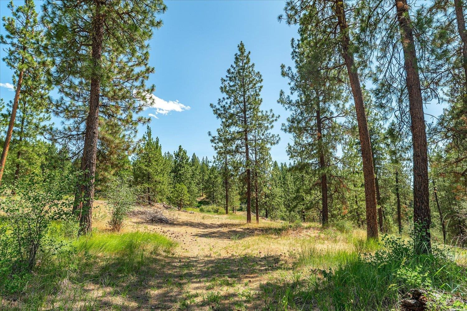 Property Photo:  786X Arden Butte Rd  WA 99114 