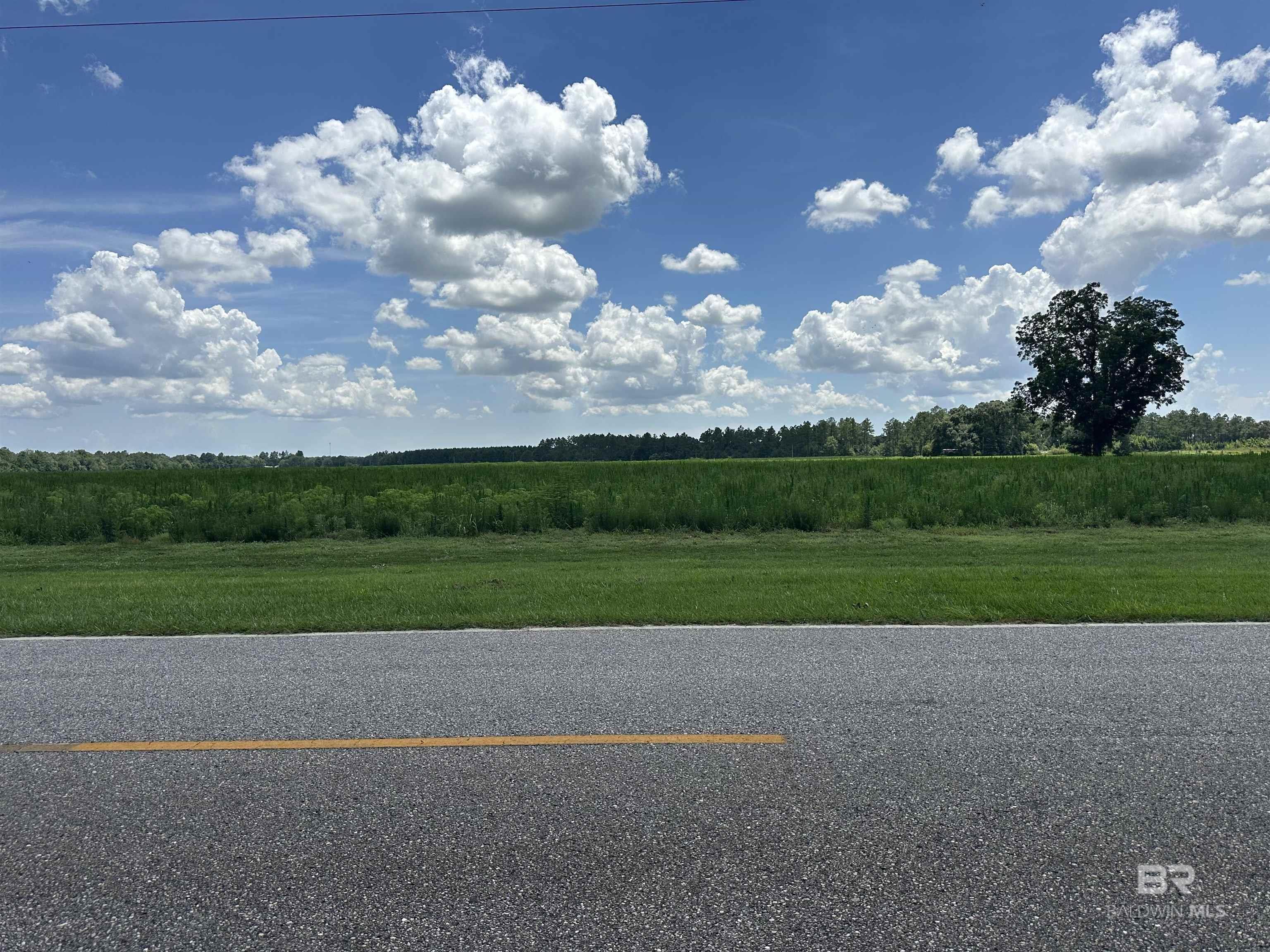 Property Photo: 22280 County Road 62 AL 36567