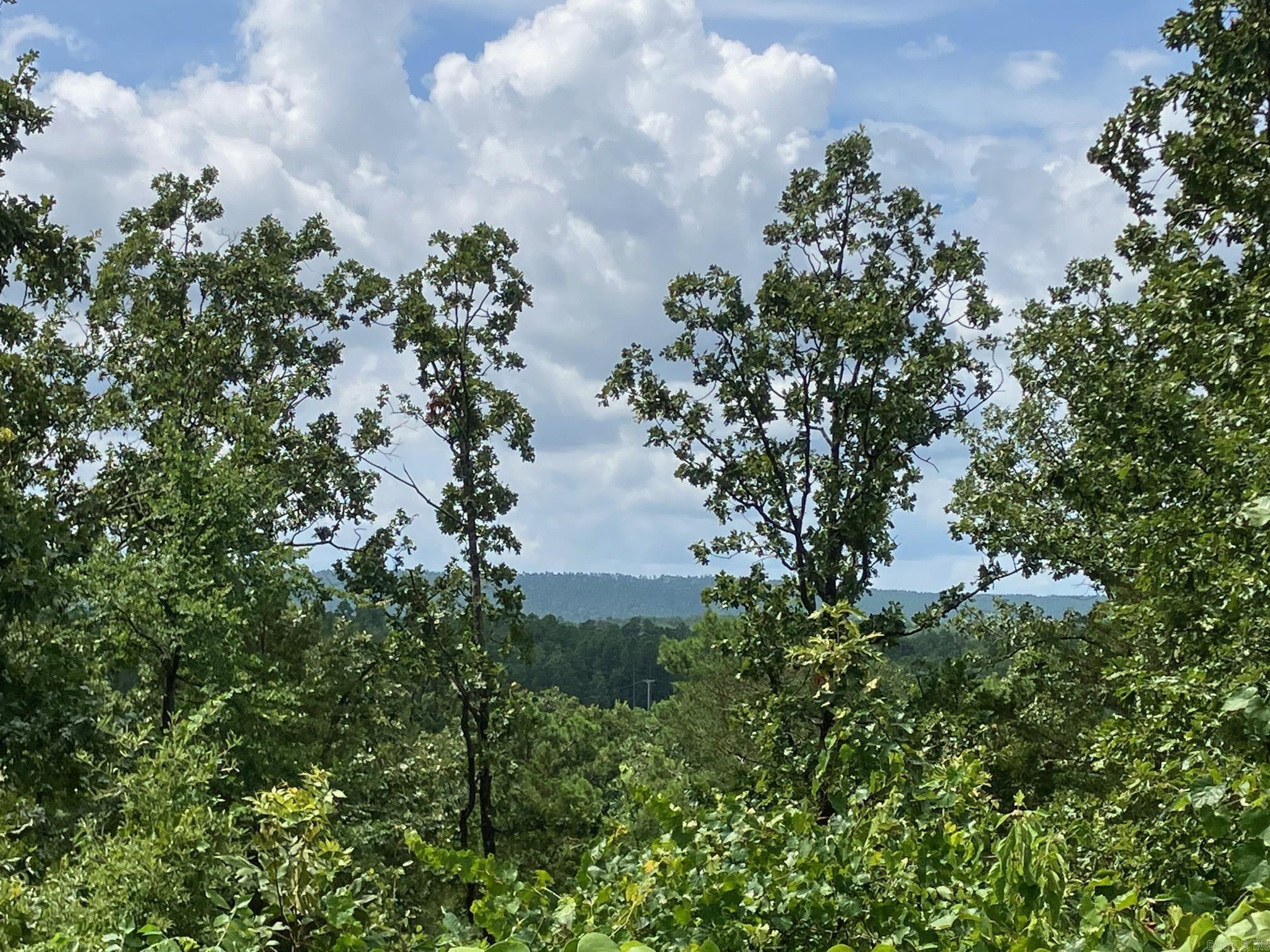 Property Photo:  8627 Wildflower Lane  AR 72958 