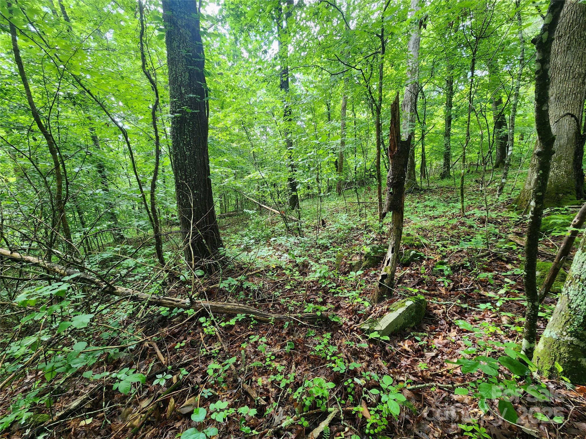 Property Photo:  Tbd Henry Worley Lane  NC 28753 