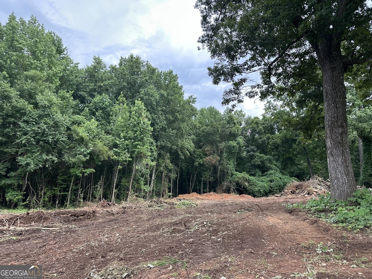 Property Photo: 0 County Road 61 AL 36274