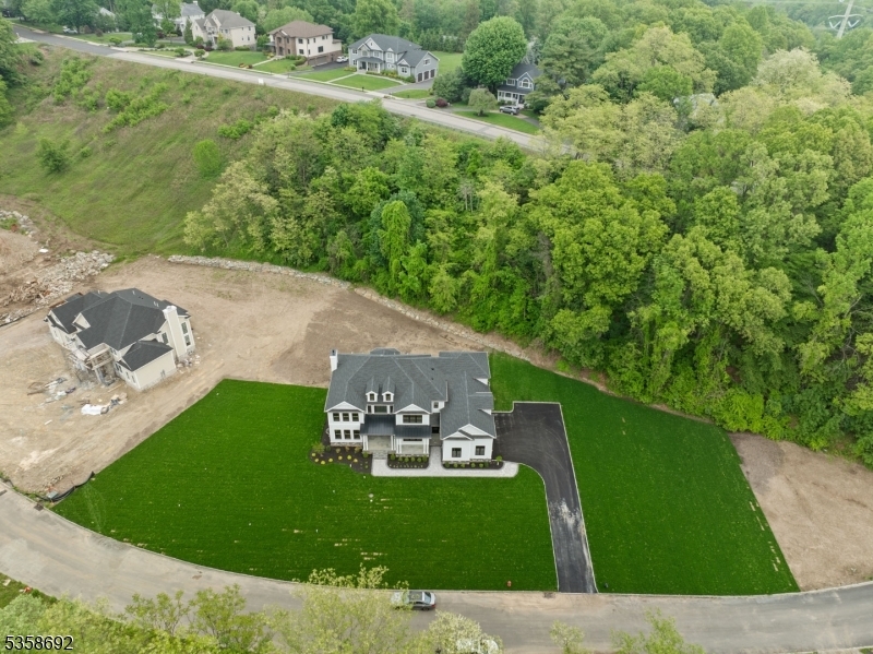 Property Photo:  1 Hilbert Ct  NJ 07082 
