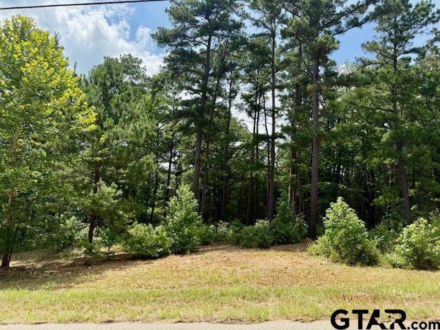 Property Photo: 16203 Cr 436 TX 75771