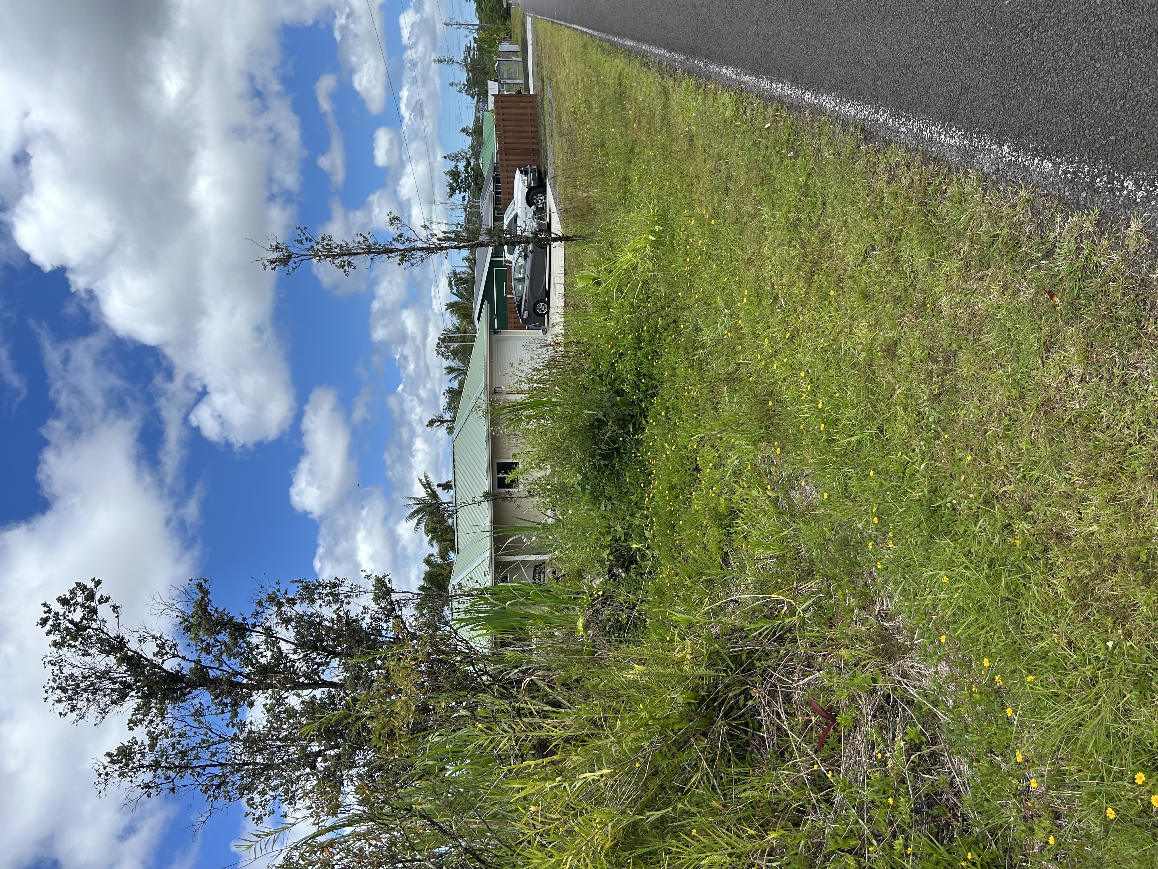 Property Photo: Silversword Dr HI 96778
