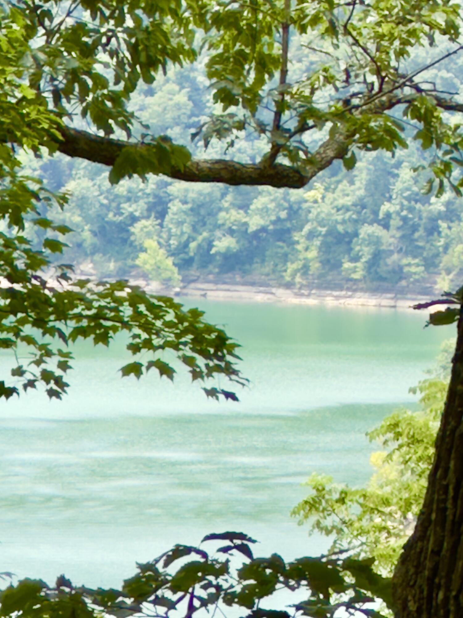 Property Photo:  478 Eagles Bluff Road  KY 42633 