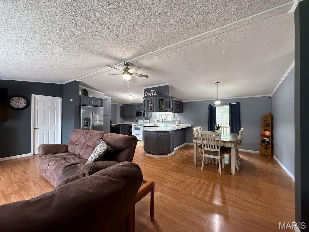Property Photo: 205 Phidias Place MO 63020