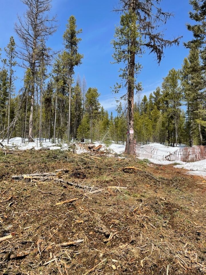 Nka Dirty Ike Road  Clinton MT 59825 photo