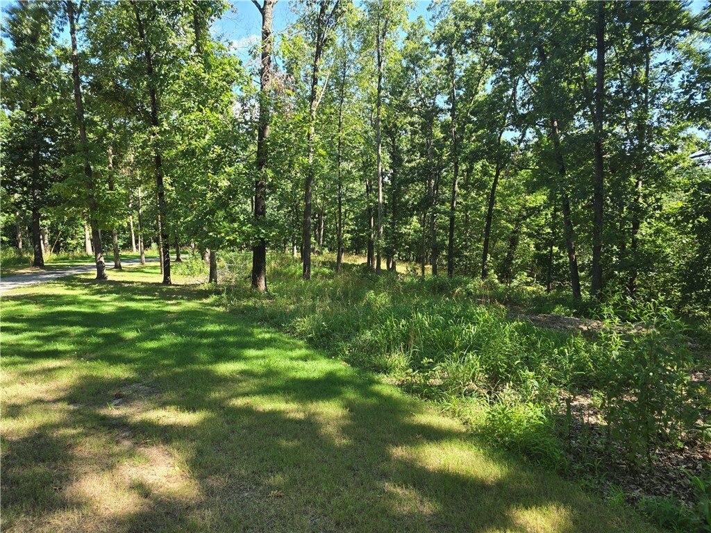 Property Photo:  Esculapia Hollow Road Lot 8  AR 72758 