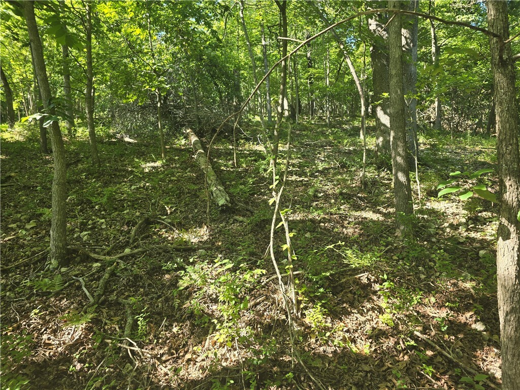 Property Photo:  Esculapia Hollow Road Lot 5  AR 72758 