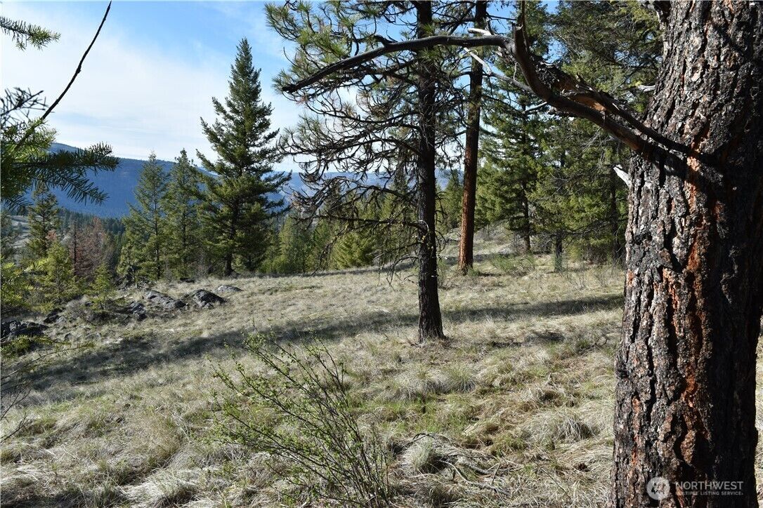 Property Photo: 70 Excelsior Way WA 99166