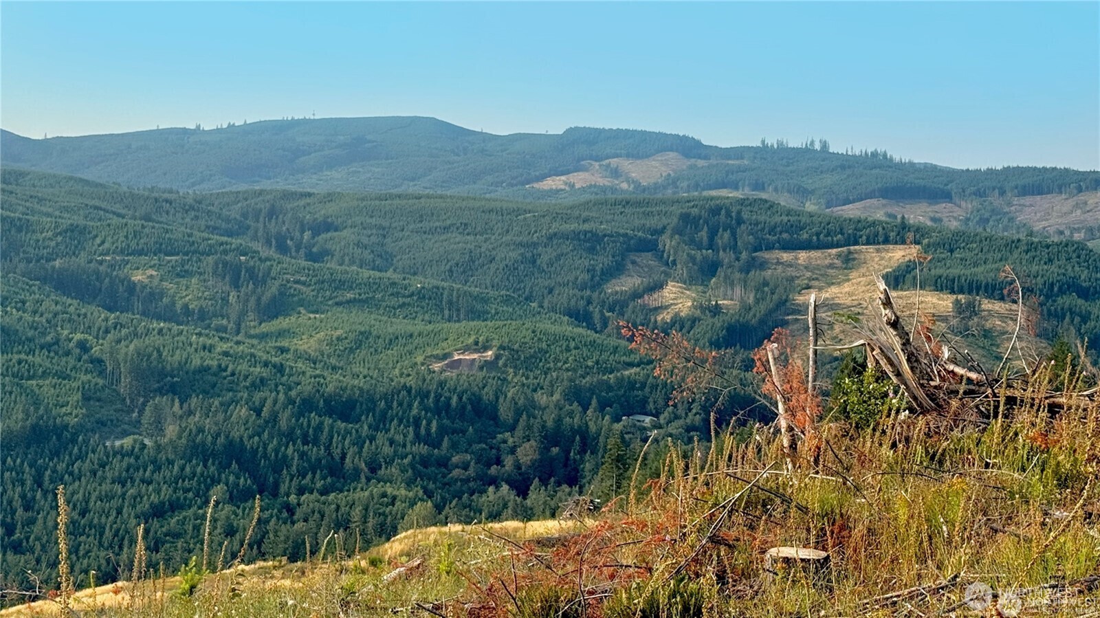 Property Photo:  3727  Little Kalama River Road A  WA 98584 