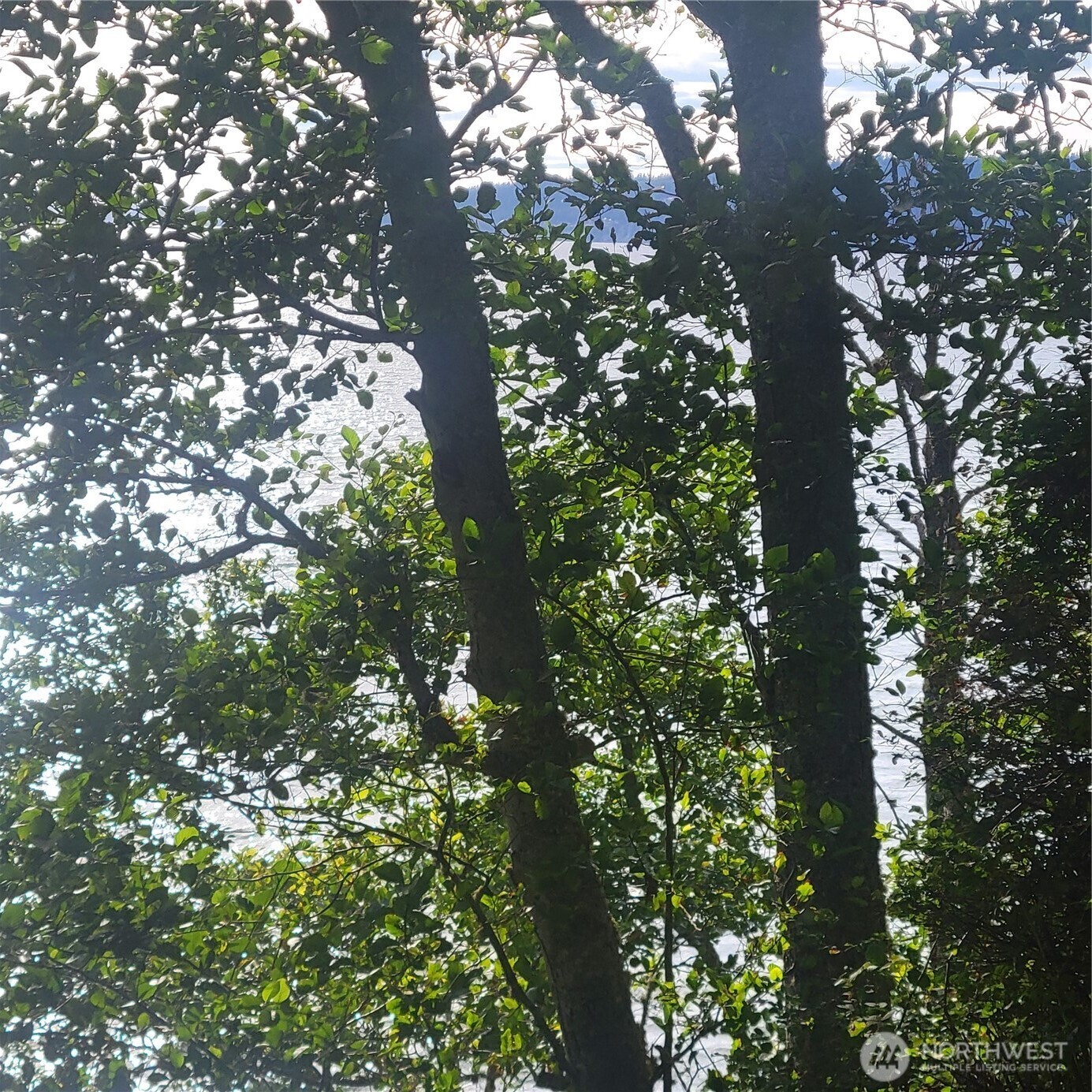 Property Photo: 1491 Hultman Road WA 98282