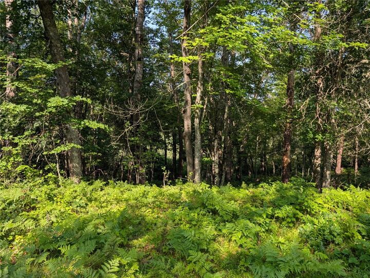 Property Photo: Xxx Dock Lake Road WI 54801