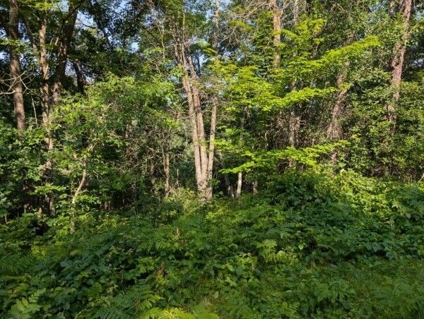 Property Photo: Xxx Dock Lake Road WI 54801