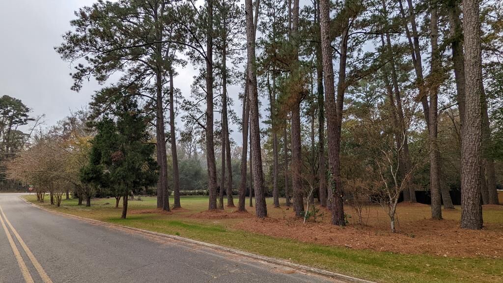 Property Photo:  109 Robin Hood Road  GA 31792 
