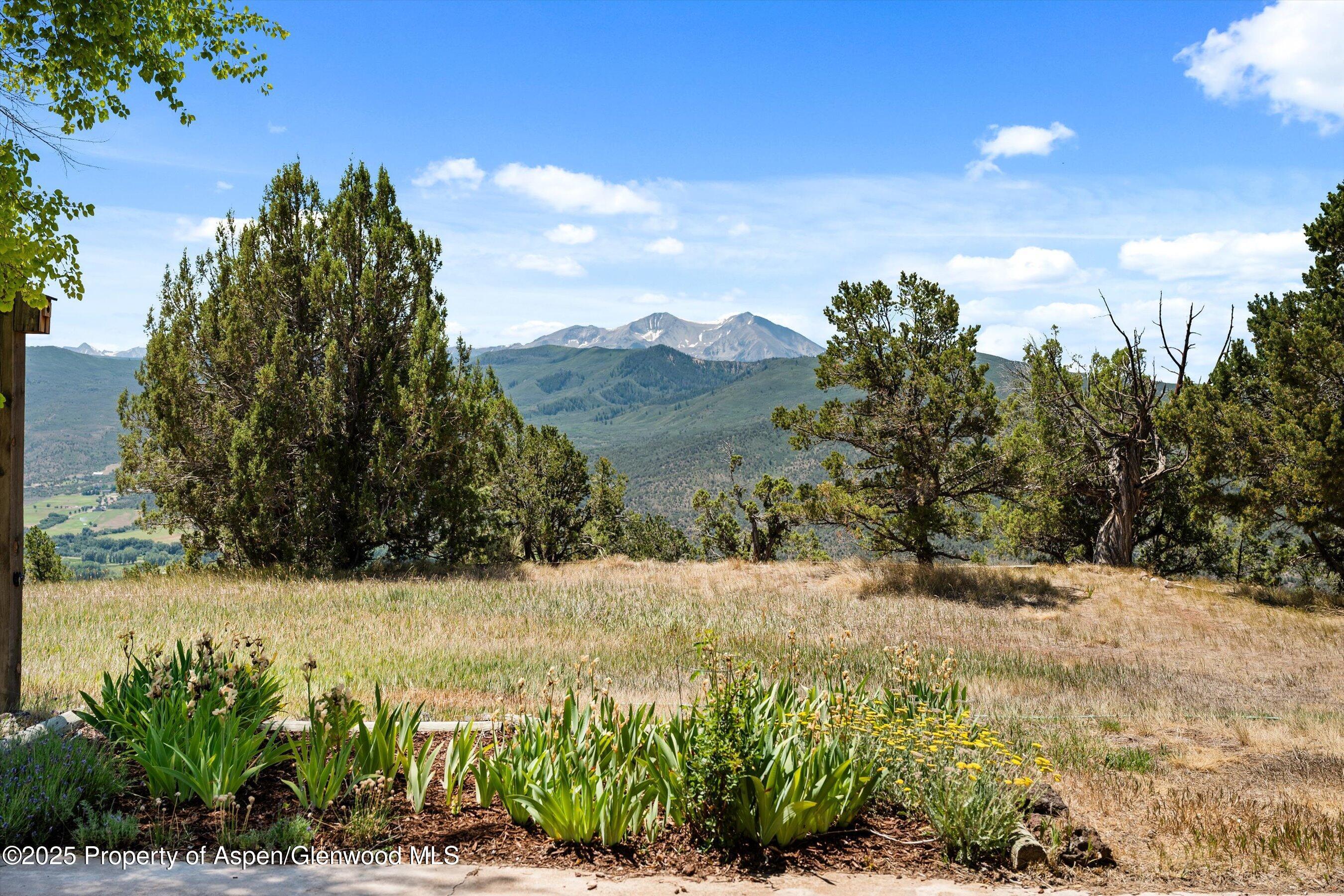 Property Photo: 14 Fender Lane CO 81623