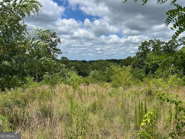 Property Photo: Lt 95 Timberline Trail 95 GA 30540