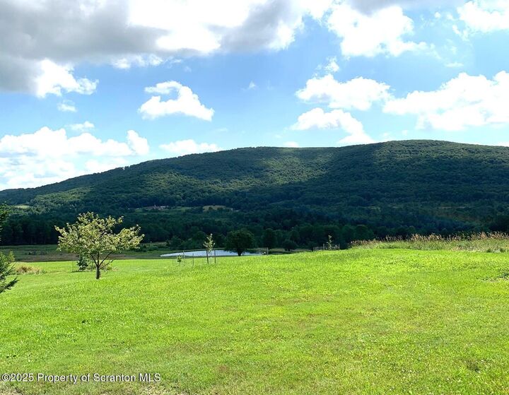 529 Pa-370  Union Dale PA 18470 photo