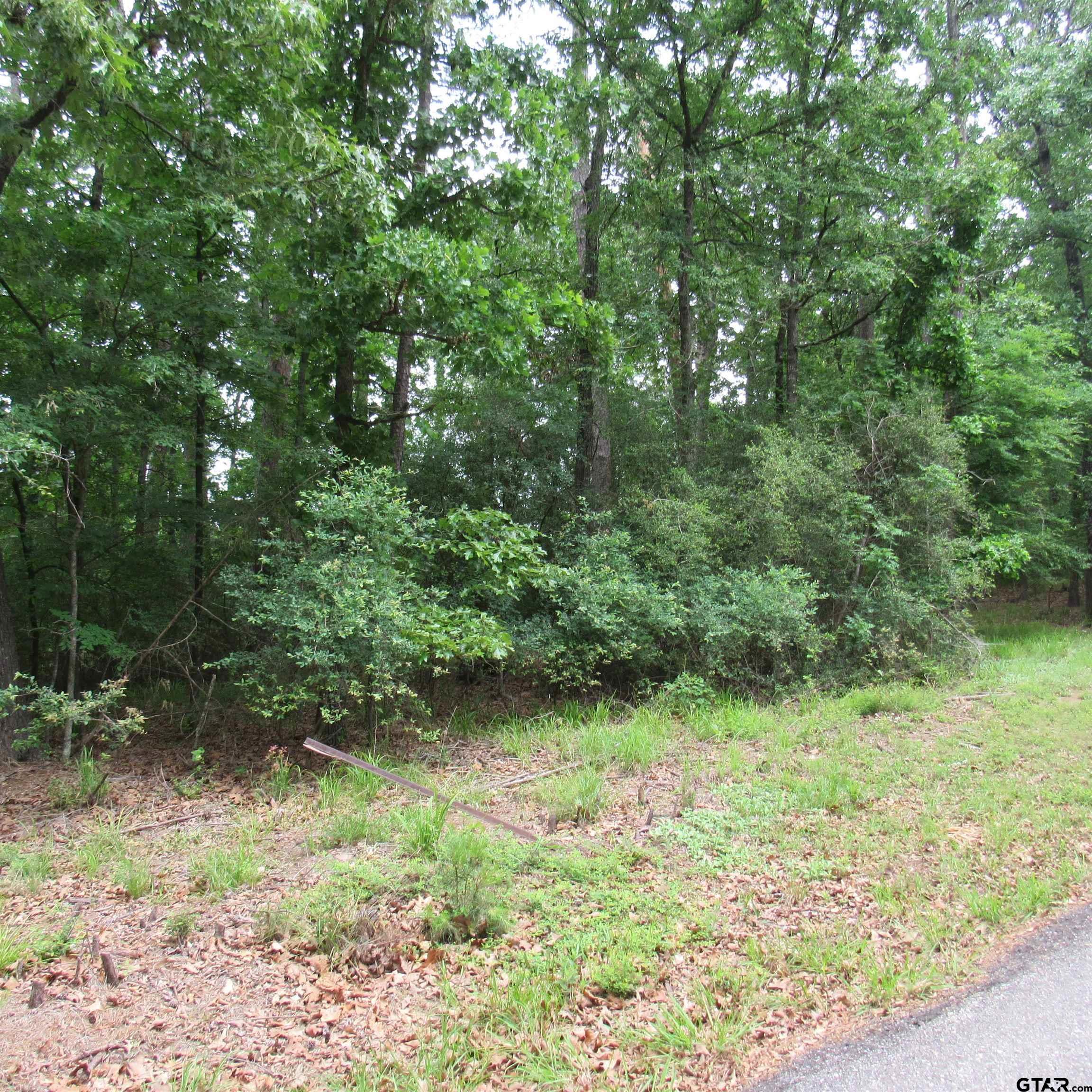 Property Photo: Tbd Rolling Ridge TX 75765