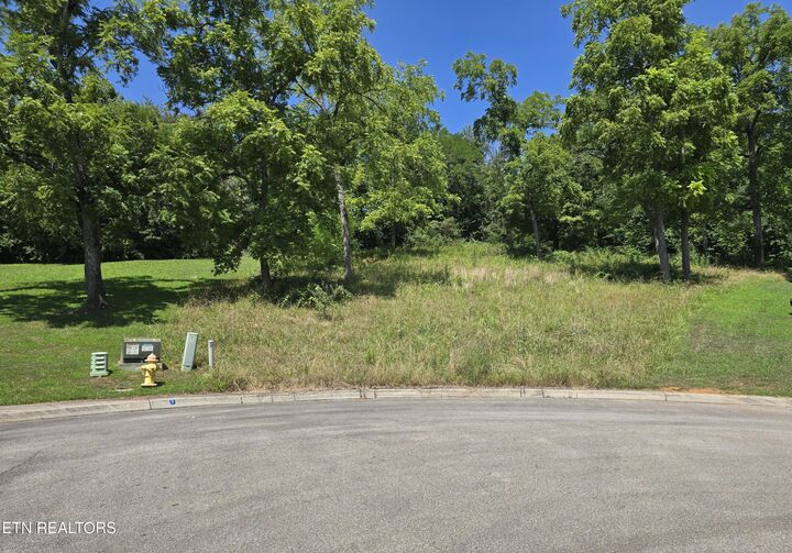 Morningside Lane  Dandridge TN 37725 photo