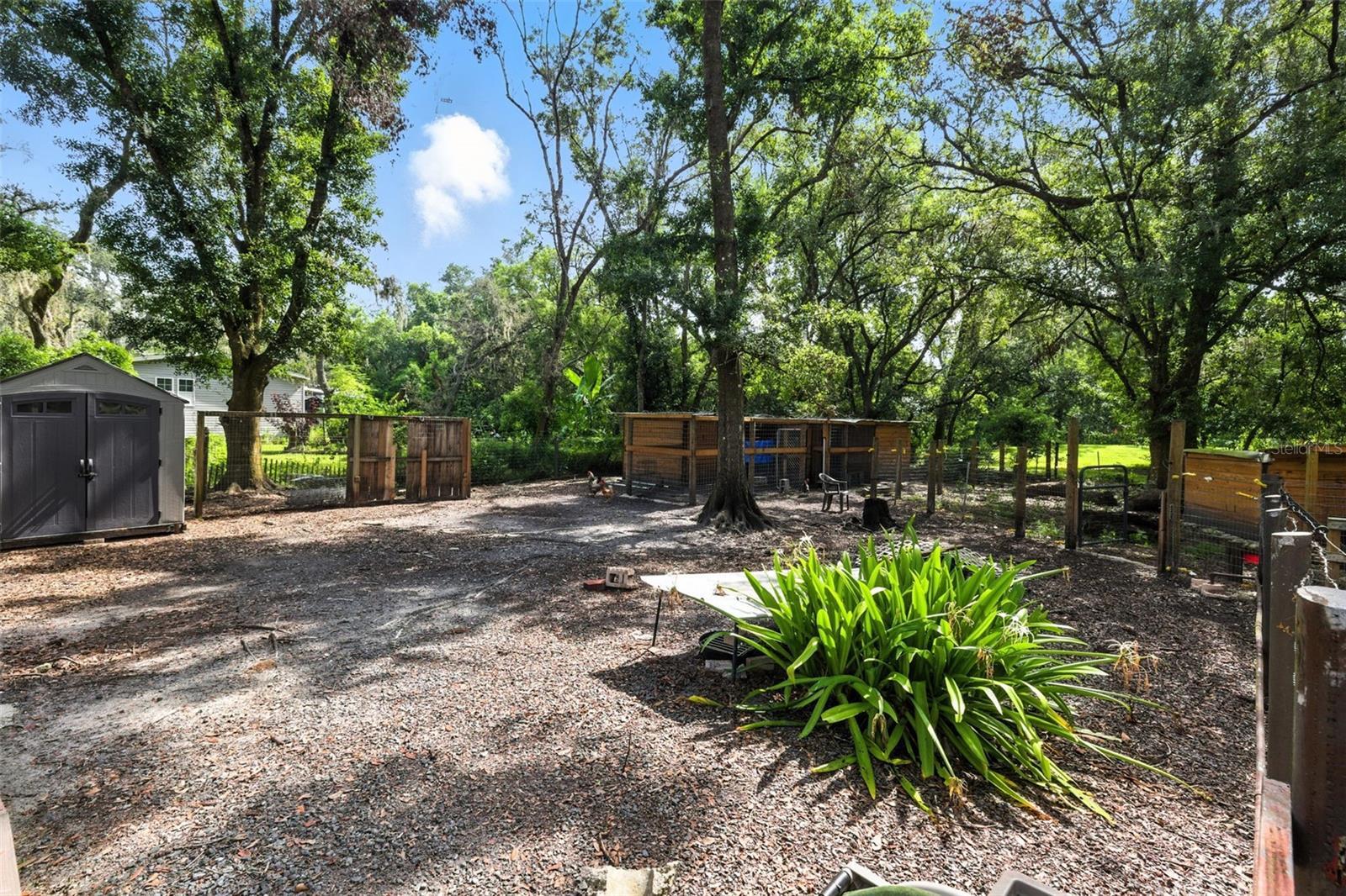 Property Photo: 4244 Ryals Road FL 33541