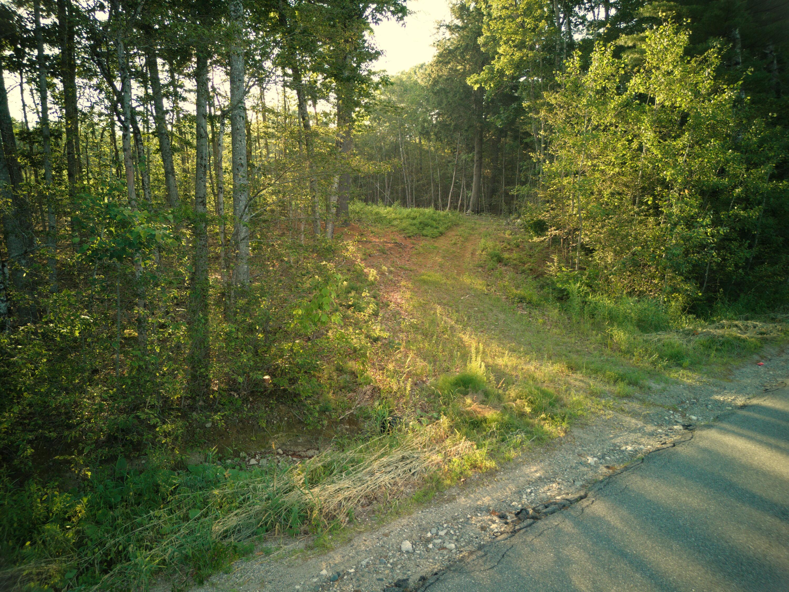 Property Photo:  1026 Bucks Mills Road  ME 04416 