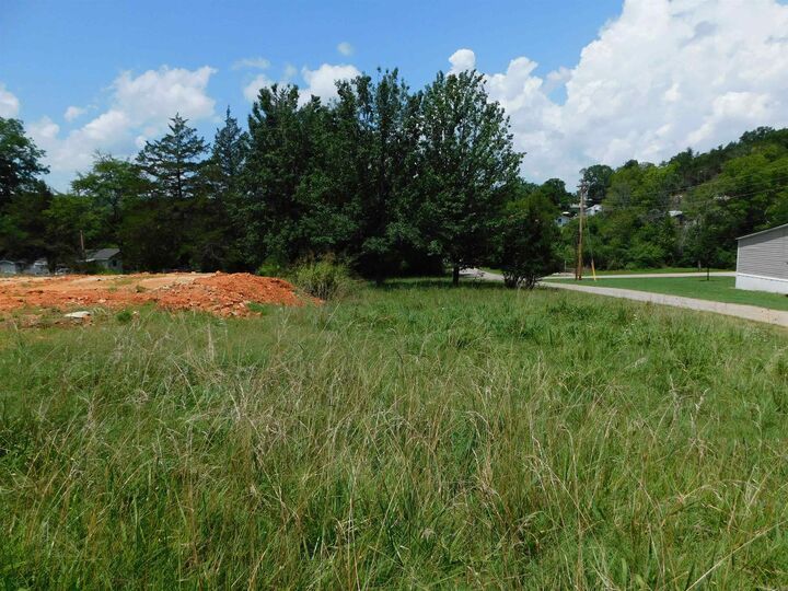 Property Photo: 343 Blevins Street AR 72658